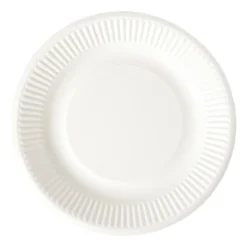 Bagasse bord - wit - ø18.5x2 cm