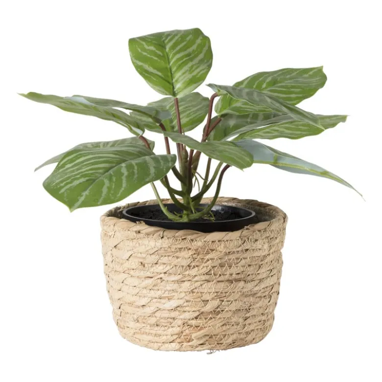 Bloempot Aaron - ø15x11 cm