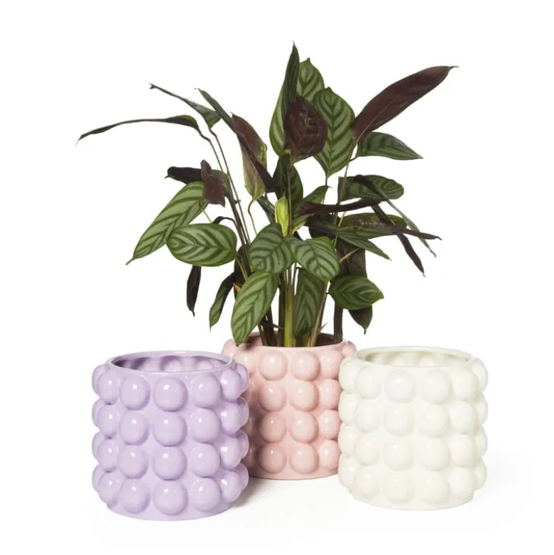 Bloempot bubbel - wit - ø15x15 cm