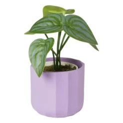 Bloempotje streep - paars - ø7x6.5 cm