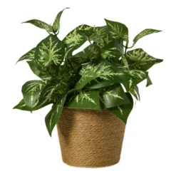 Bloempot mand groot - diverse varianten - ø13.5x11 cm
