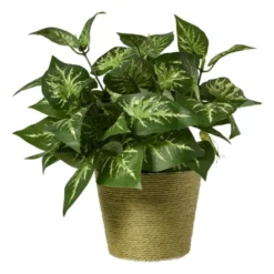 Bloempot mand klein - diverse varianten - ø12x9 cm