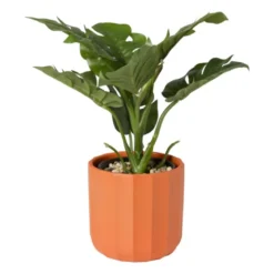 Bloempot streep - rood - ø11.5x11 cm