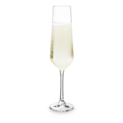Champagneglas kristal - set van 4 - 200 ml