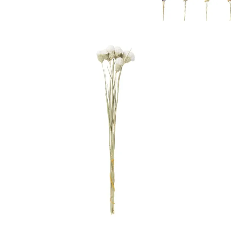 Droogbloemen - diverse varianten - 38 cm