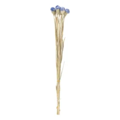 Droogbloemen - diverse varianten - 38 cm