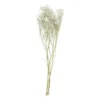 Droogbloem gipskruid - wit - 60 cm