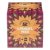 Fine flavours vruchten thee - caramel peer - 10 zakjes