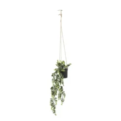 Hangplant - 65 cm