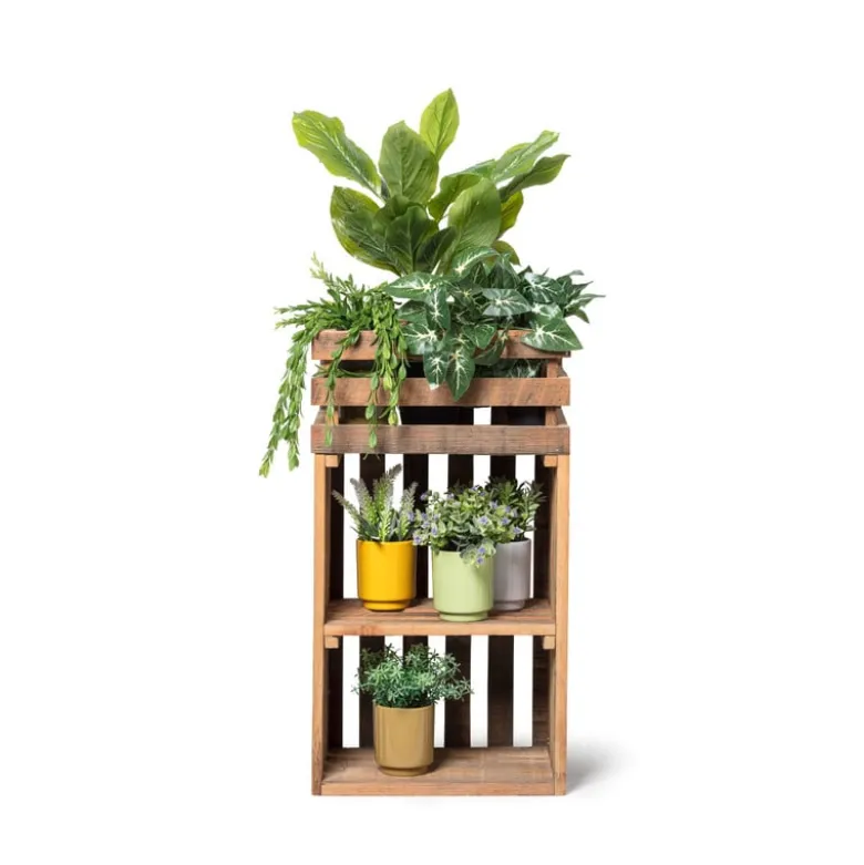 Hangplantje in potje - lang blad