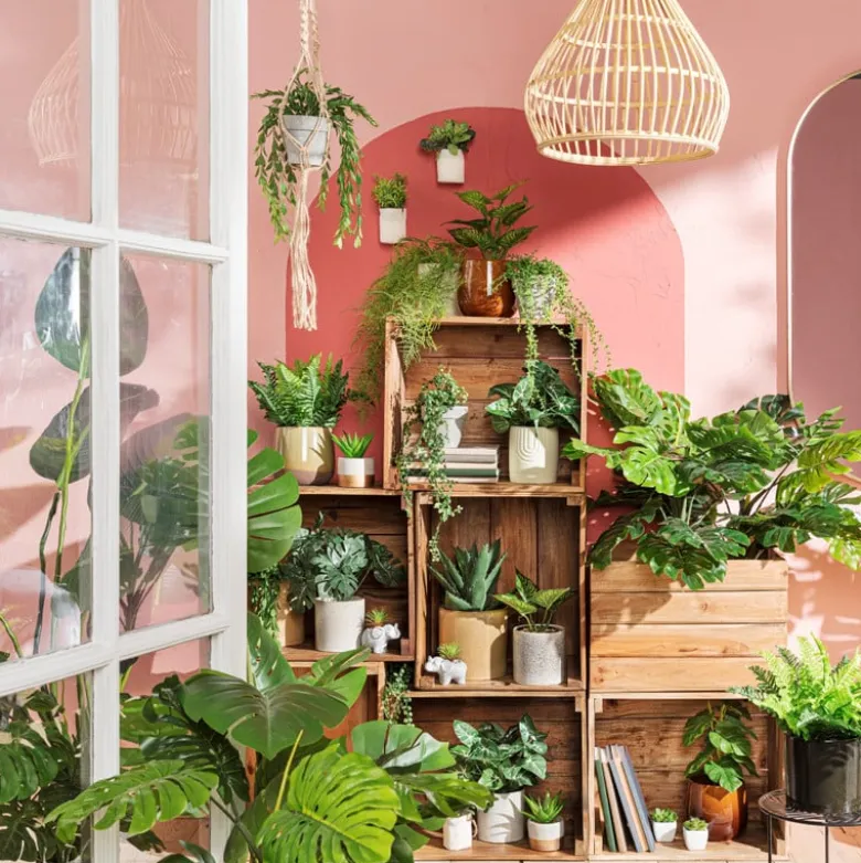Hangplantje in potje - spits blad