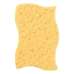 Huishoudspons
