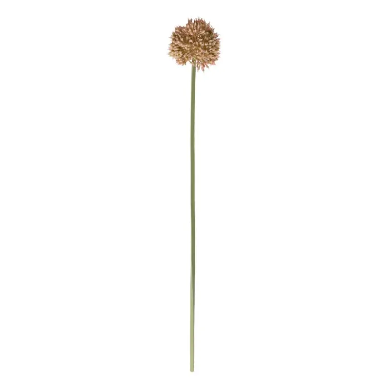 Kunstbloem allium - diverse varianten - 50 cm