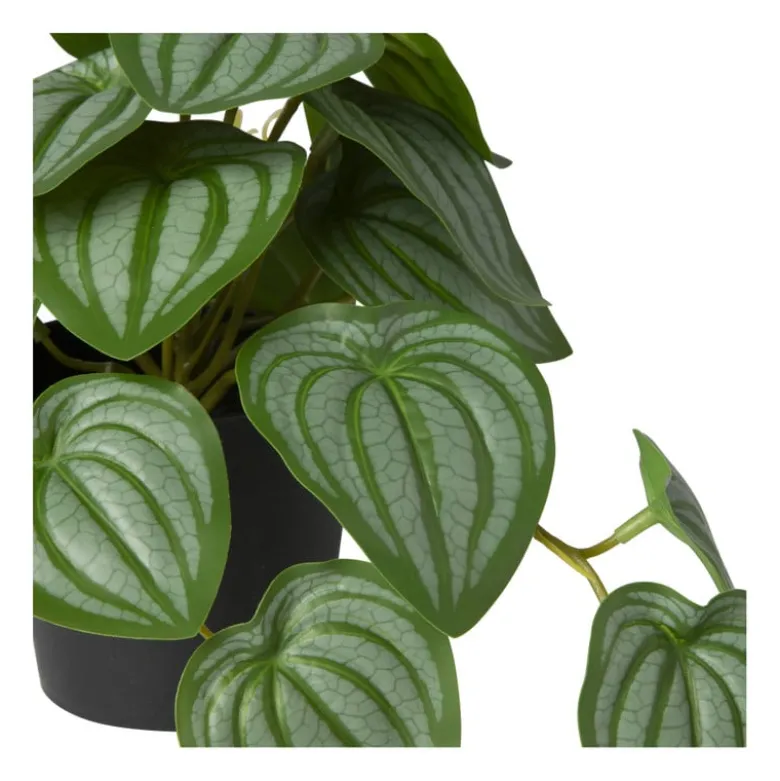 Kunstplant peperomia - 17 cm