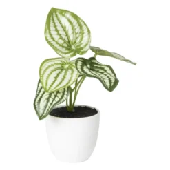 Kunstplant peperomia - 16 cm