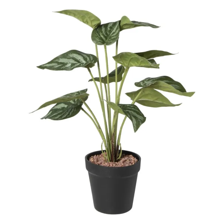 Kunstplant syngonium - 36 cm