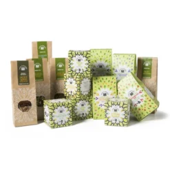 Losse groene thee - Fruity Paradise - 75 g
