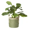 Mand colors - groen/bruin - ø21x18 cm