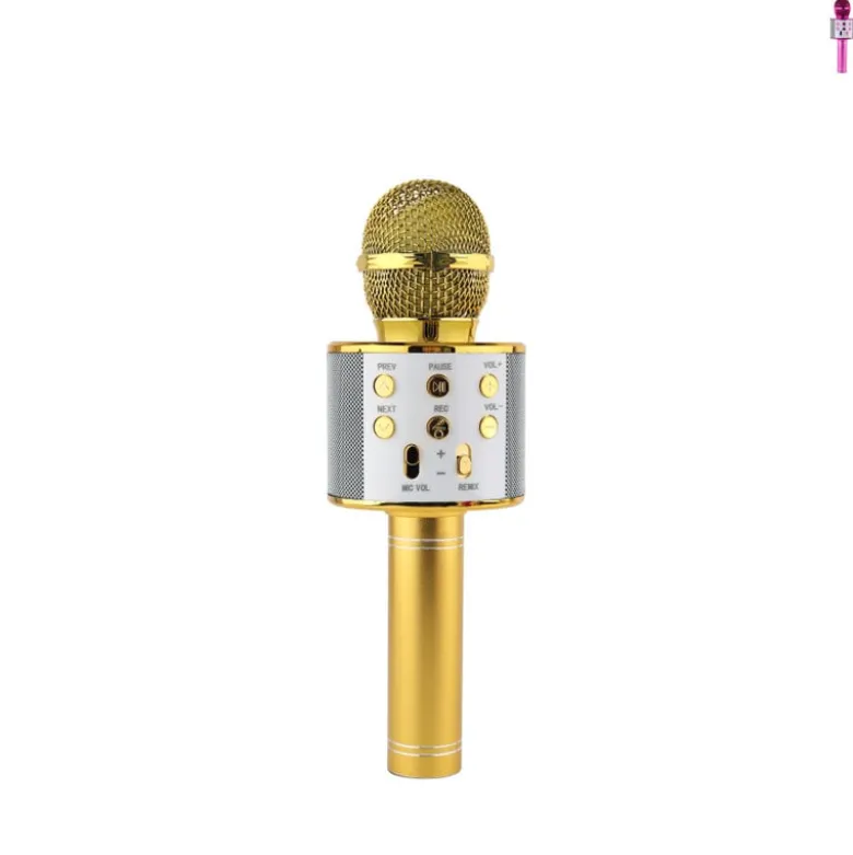 Microfoon karaoke - diverse kleuren - ø7x22.5 cm