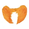 Oranje vleugels - veren - 60x40 cm