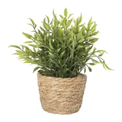 Plantje in rieten mand - spits blad - ø10x19 cm