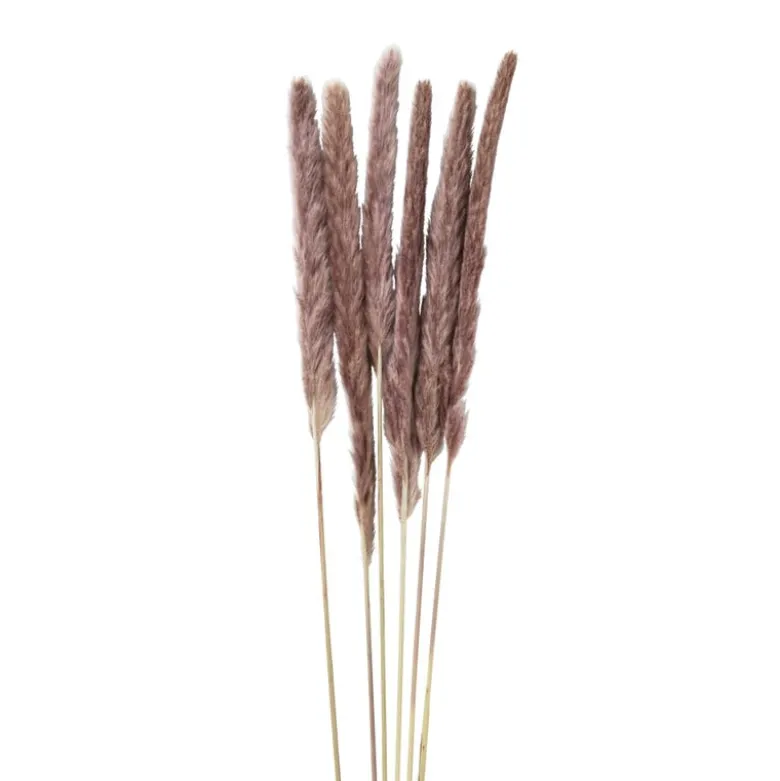 Pluim smal - 6 stuks - 70 cm