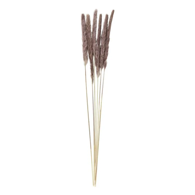 Pluim smal - 6 stuks - 70 cm