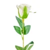 Roos wit - 56 cm
