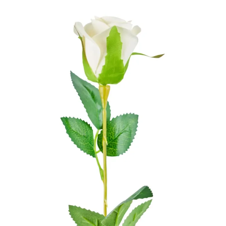 Roos wit - 56 cm