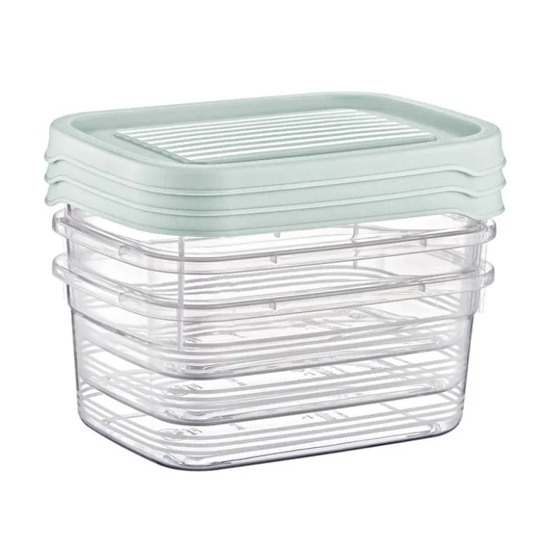 Vershoudbakjes - 500 ml - set van 3