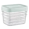 Vershoudbakjes - 850 ml - set van 3