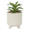 Vetplantje in pot - beige - ø8x15 cm