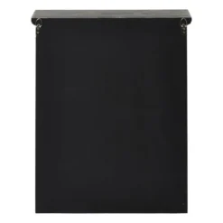 Vitrinekast 2 deuren - zwart - 60x50x15 cm